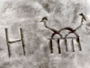 H picto mark for Ralph Tawangyaouma Hopi