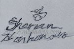 Hopi Sherian Honhongva hand script hallmark on jewelry